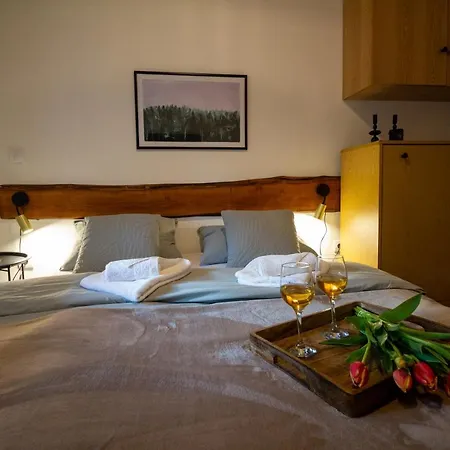 Talija Appartement Pirot